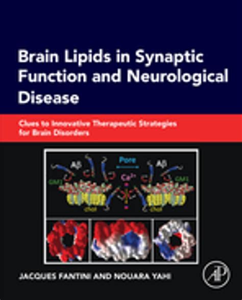 download Brain Lipids in Synaptic Function and Neurological Disease
